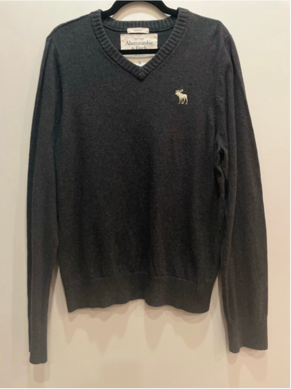 Abercrombie & Fitch Sweater Mens XL V Neck Muscle Fit Pullover Moose Logo Y2K